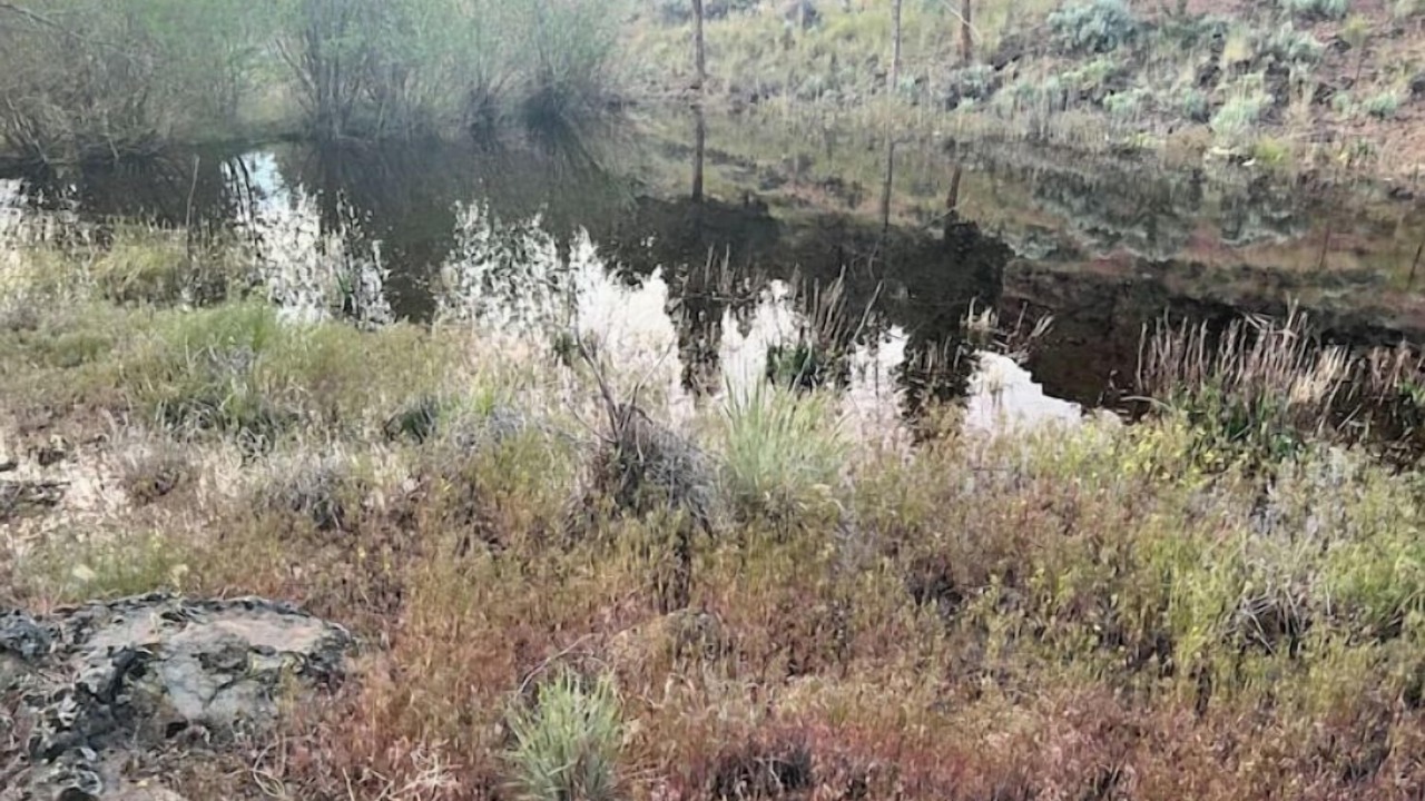 Photo of Others in Redmond