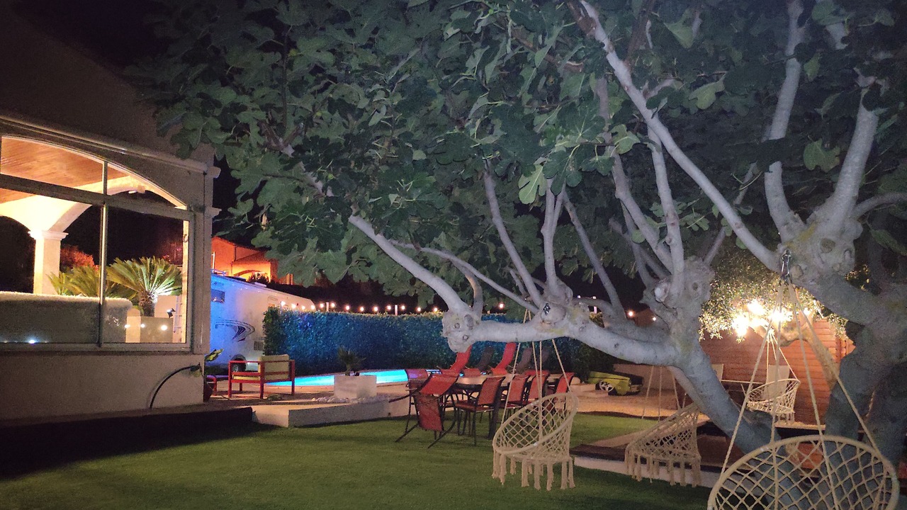 Photo of Patio Balcony in Loupian