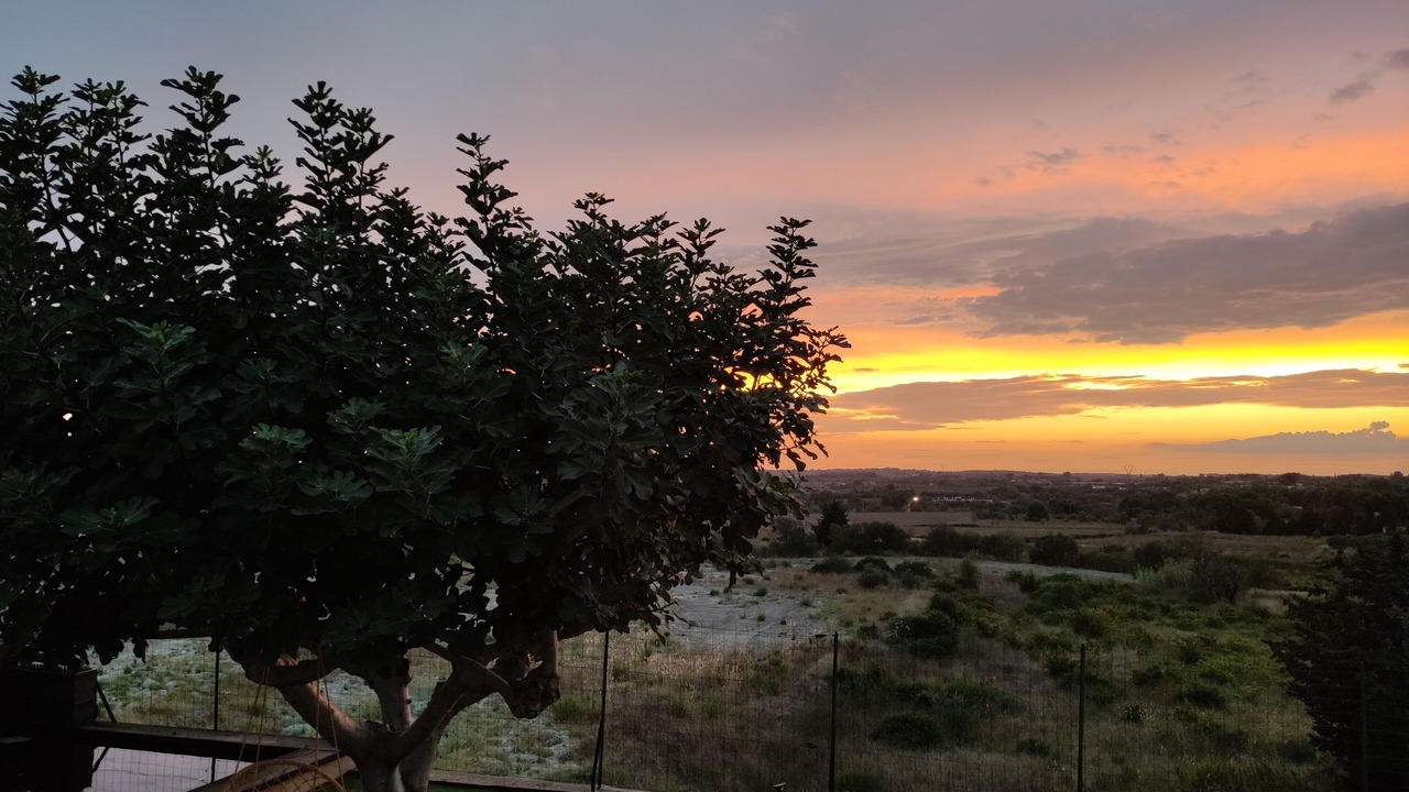 Photo of Outdoor in Loupian