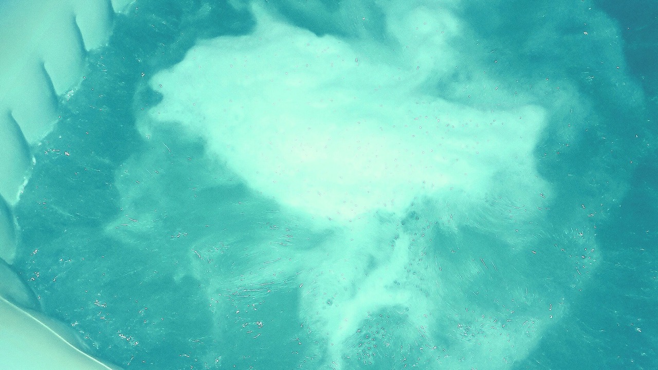 Photo of Others in Castelnau-d'Estretefonds