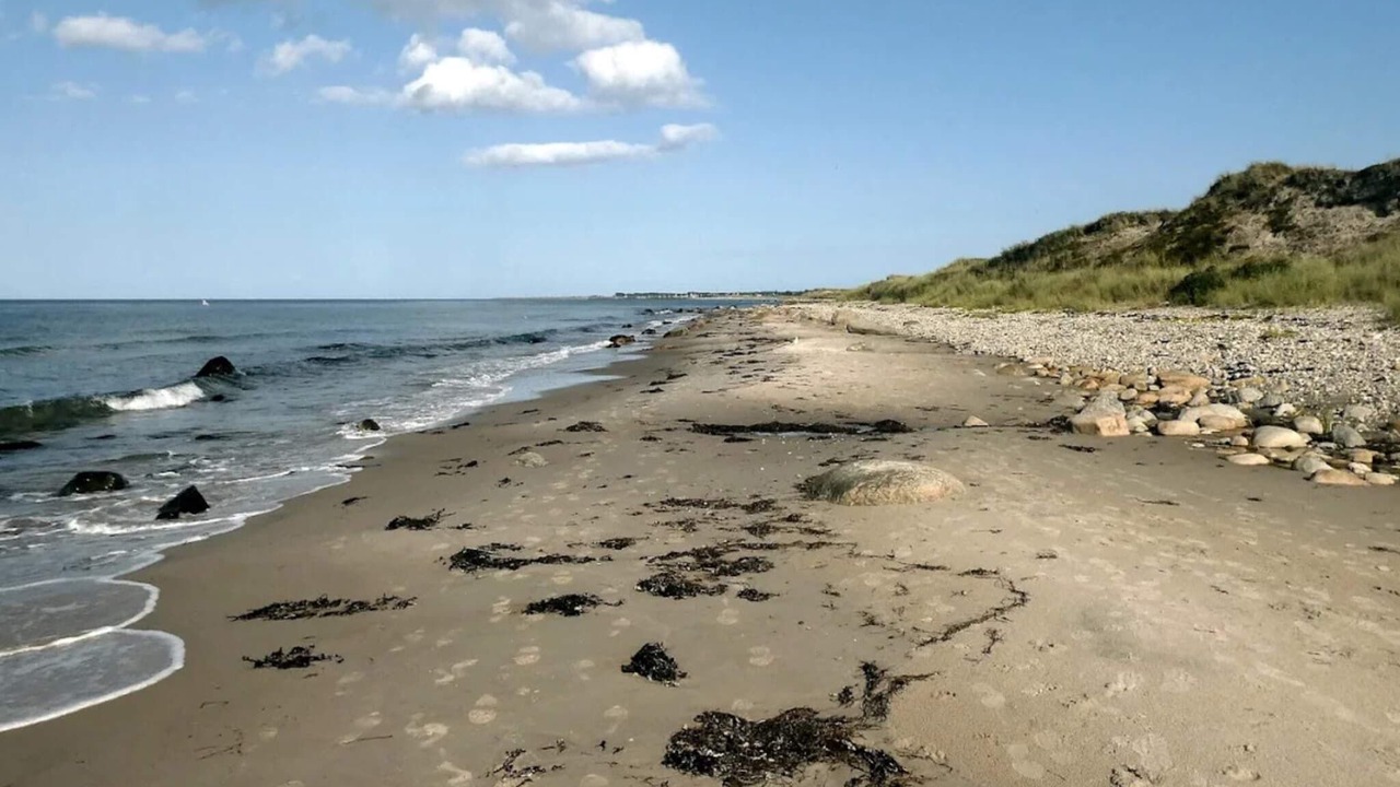 Photo of Others in Læsø