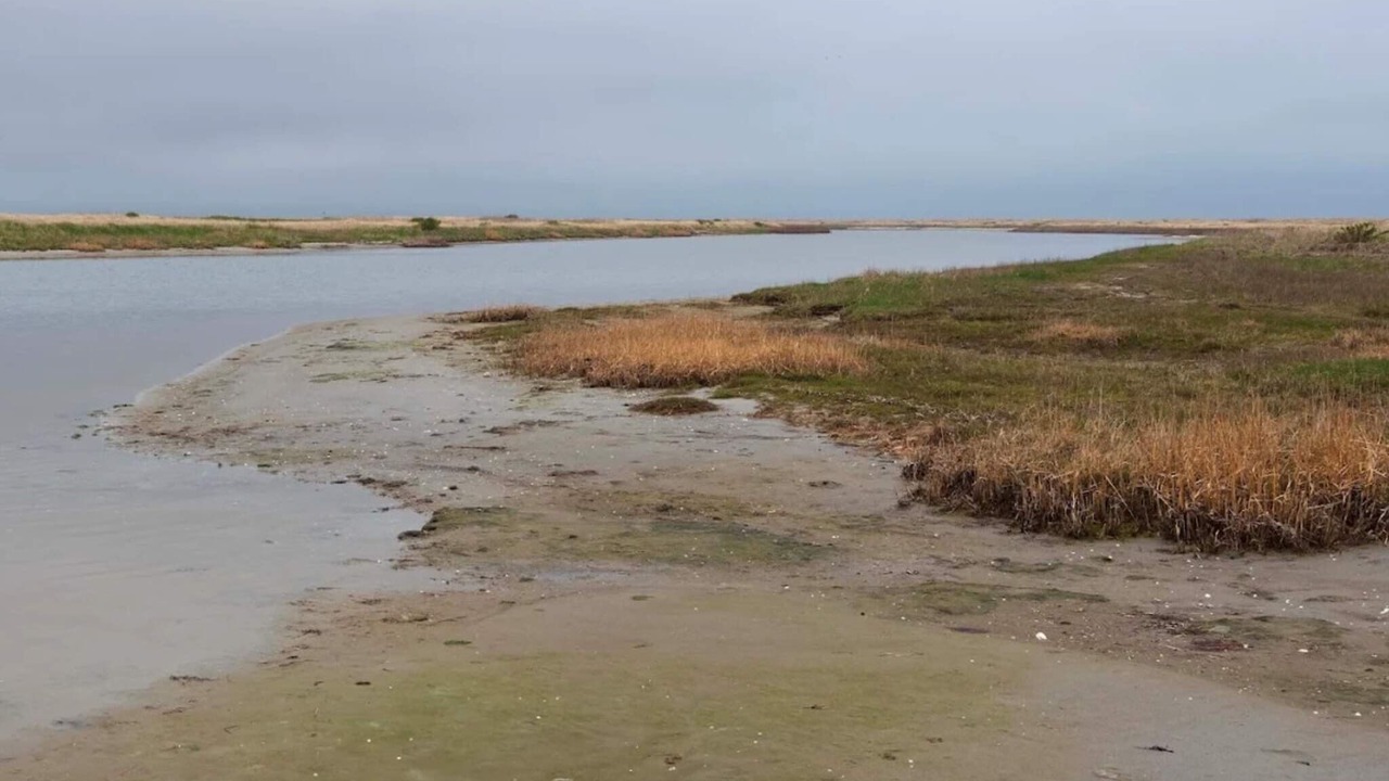 Photo of Others in Læsø