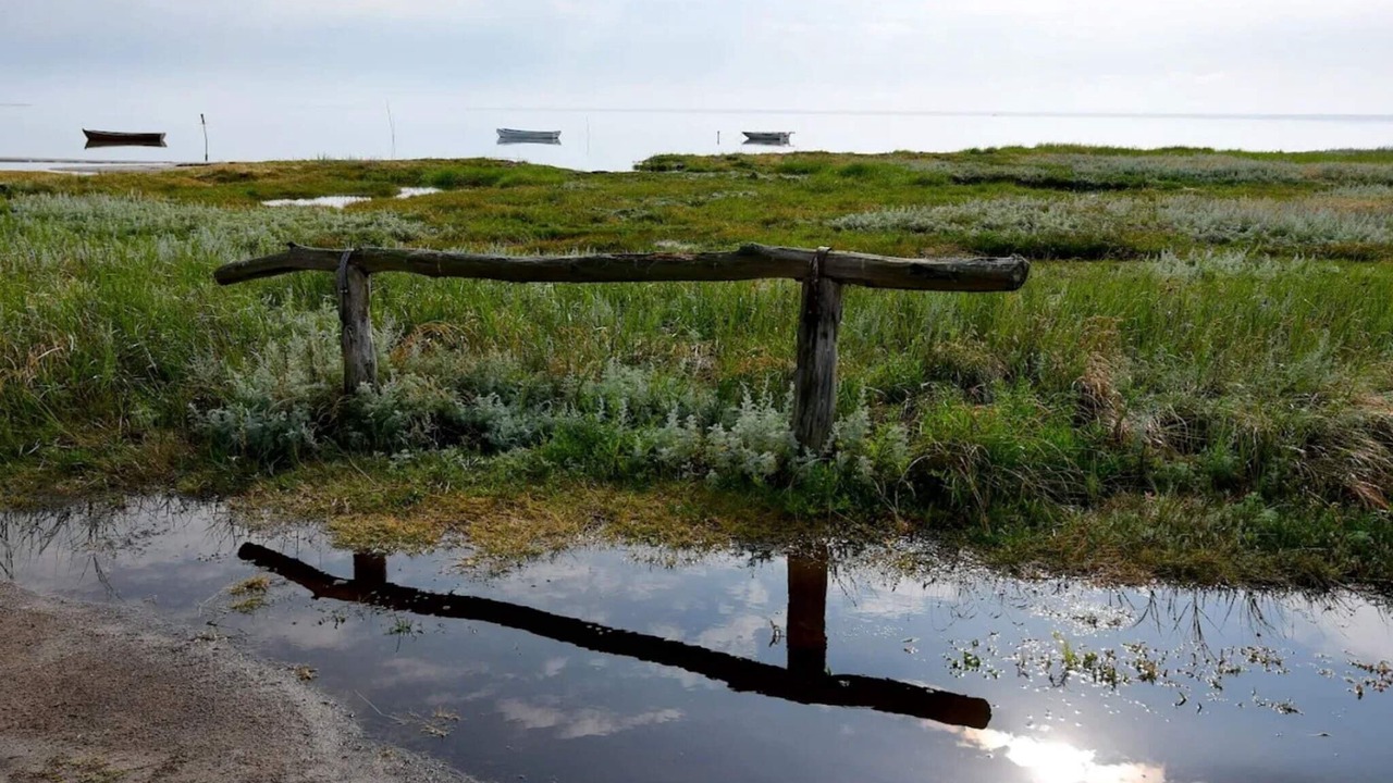 Photo of Others in Læsø