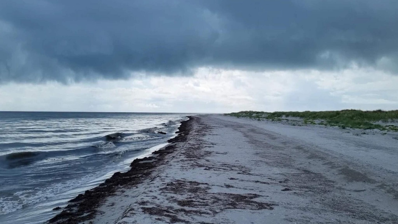 Photo of Others in Læsø