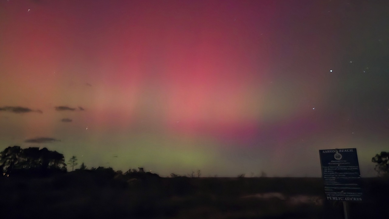 Photo of Others in Diggs