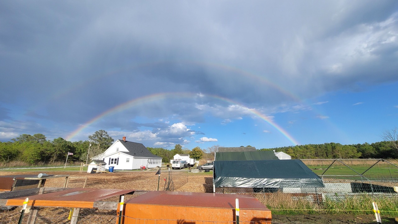 Photo of Others in Diggs