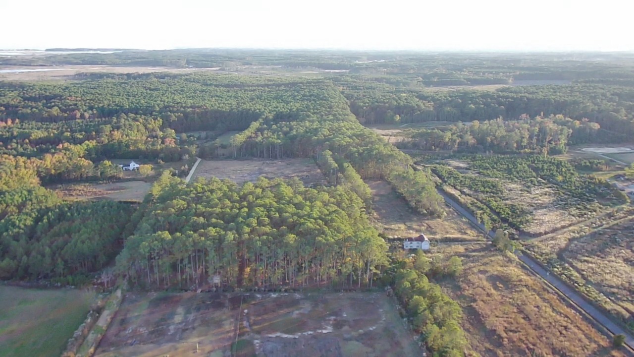 Photo of Outdoor in Diggs