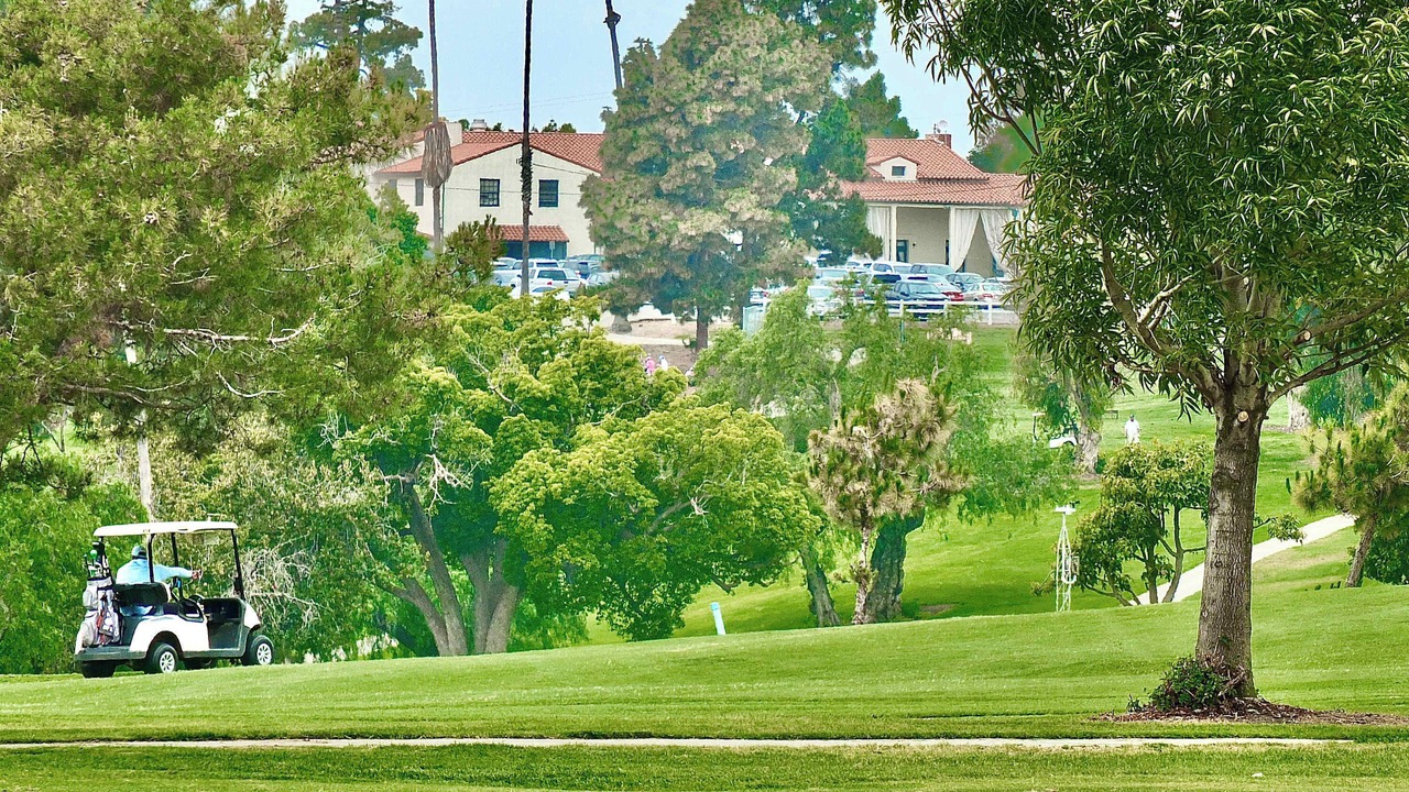Photo of Others in Belmont Heights