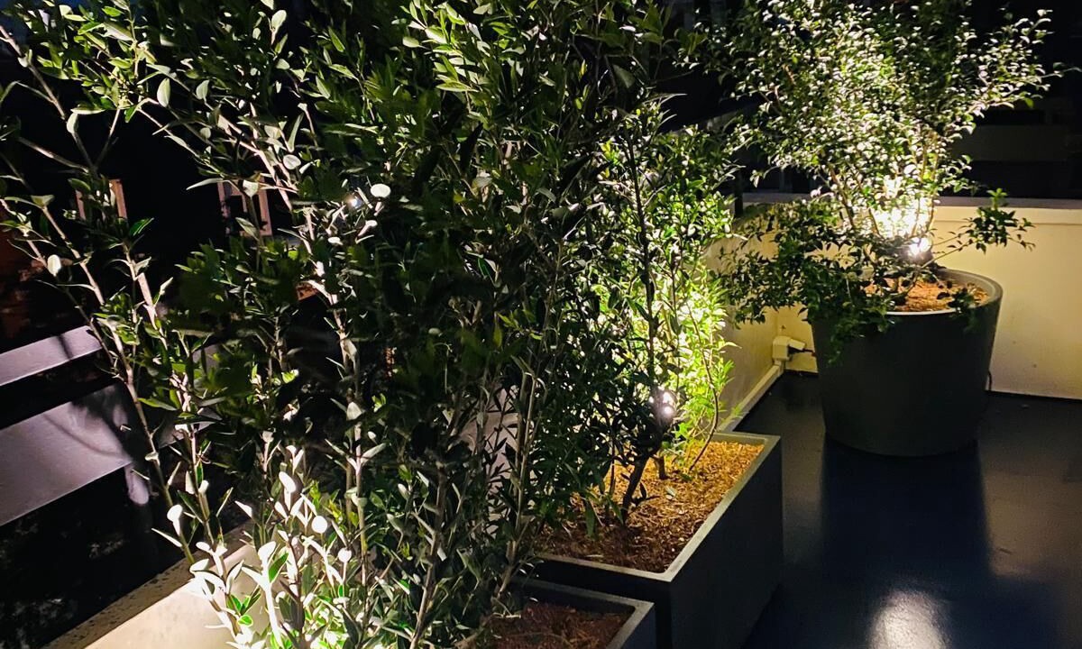 Photo of Outdoor in La Madeleine