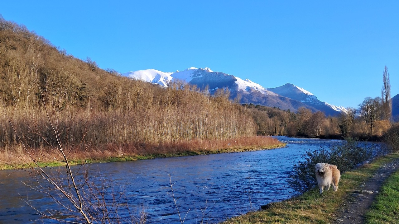 Photo of Others in Boo-Silhen