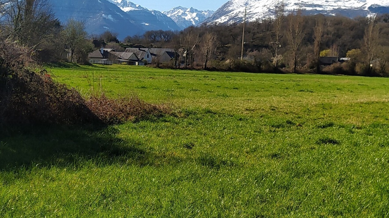 Photo of Others in Boo-Silhen