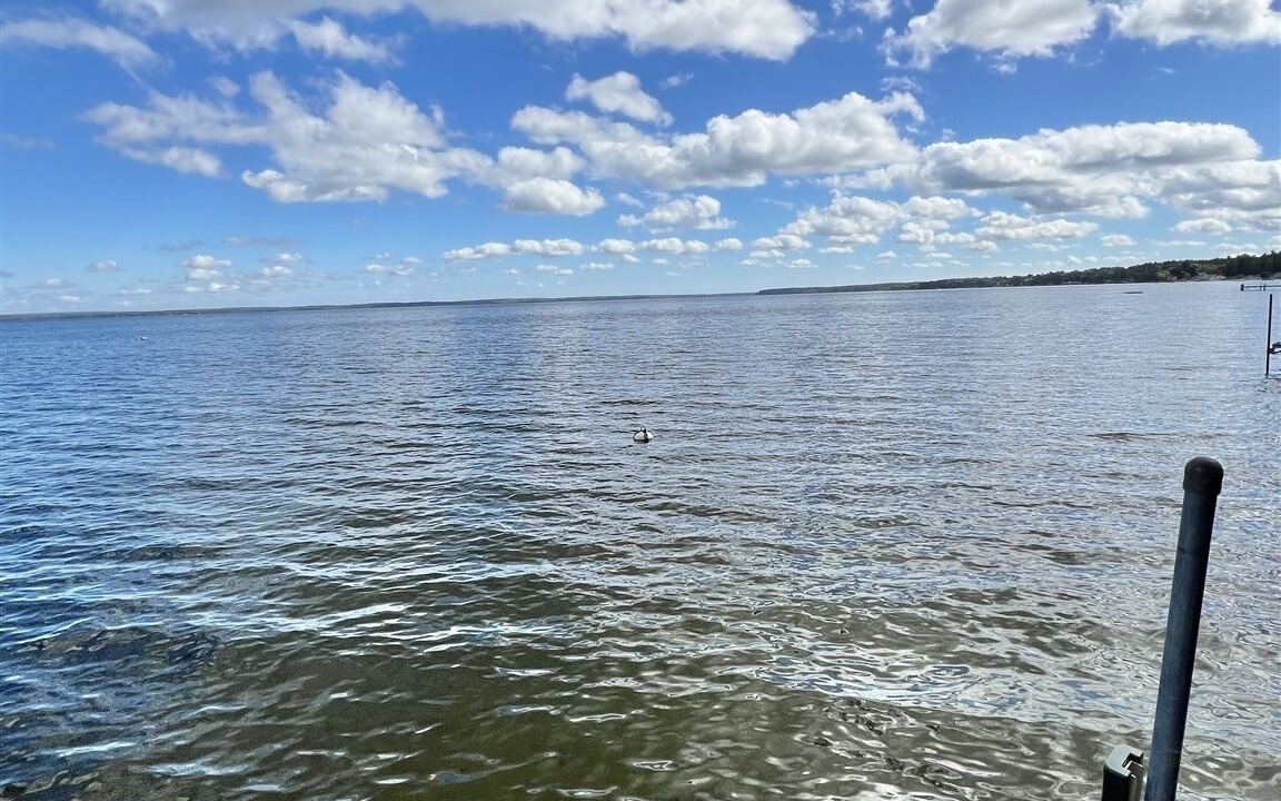 Photo of Others in Sebago