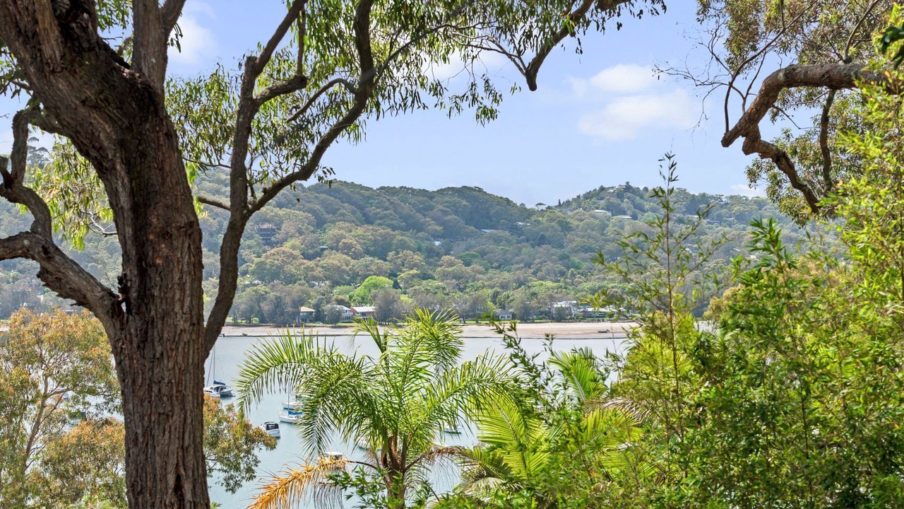 Photo of Others in Avalon Beach