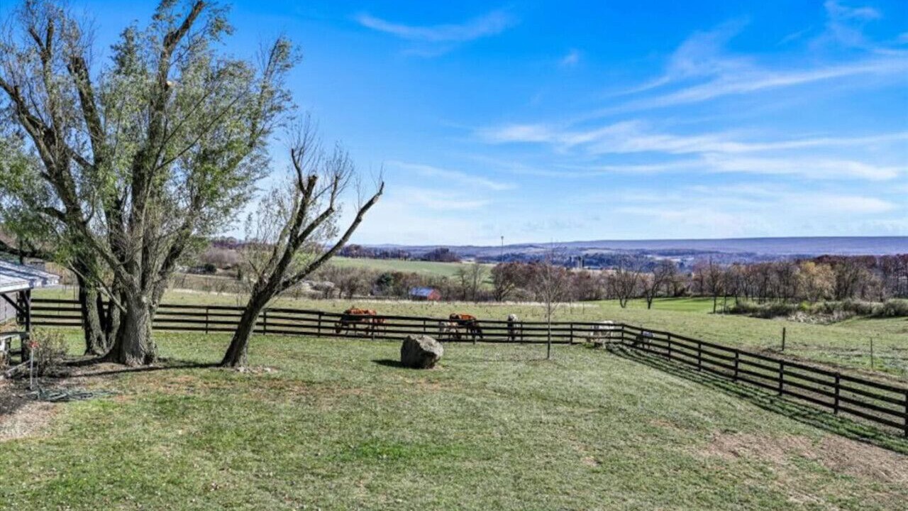 Photo of Outdoor in Pine Grove