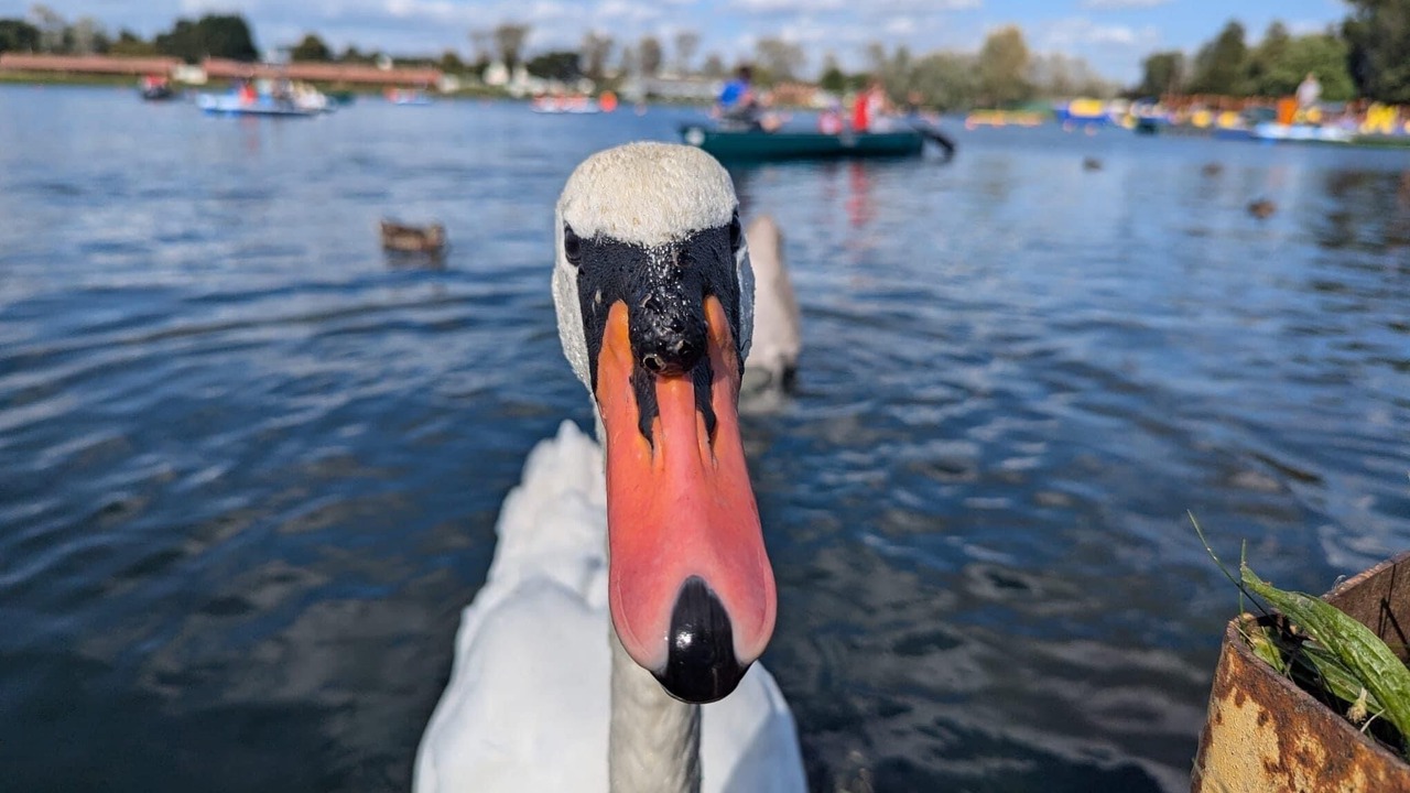 Photo of Others in Great Billing