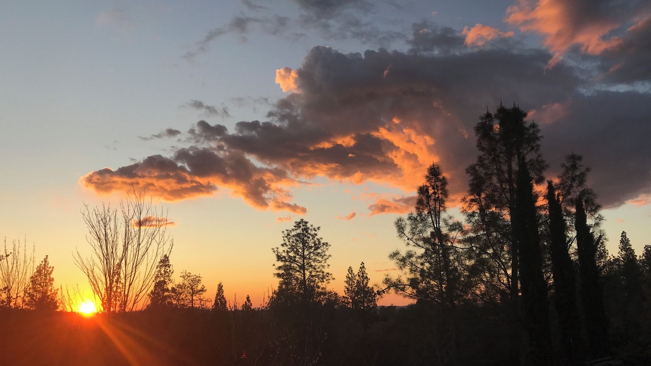 Photo of Others in Grass Valley