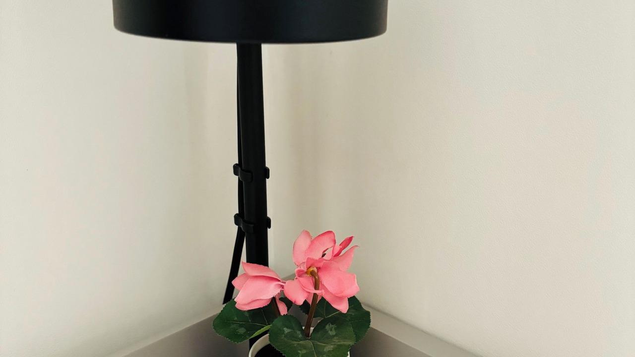 Photo of Others in Les Damps