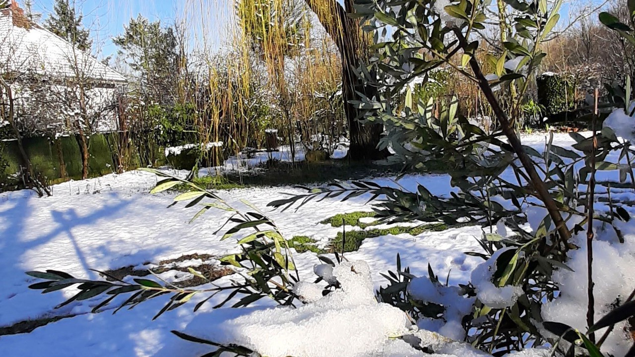 Photo of Outdoor in Germigny-des-Pres