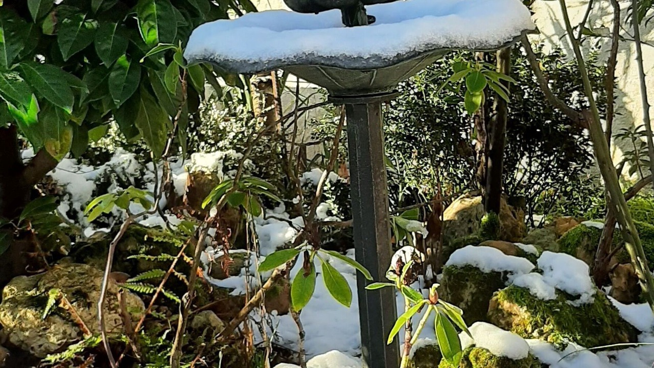 Photo of Outdoor in Germigny-des-Pres