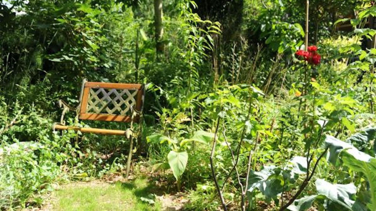 Photo of Outdoor in Germigny-des-Pres