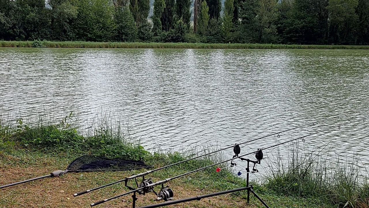 Photo of Others in Lavelanet