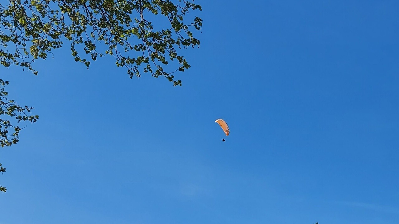 Photo of Others in Lavelanet