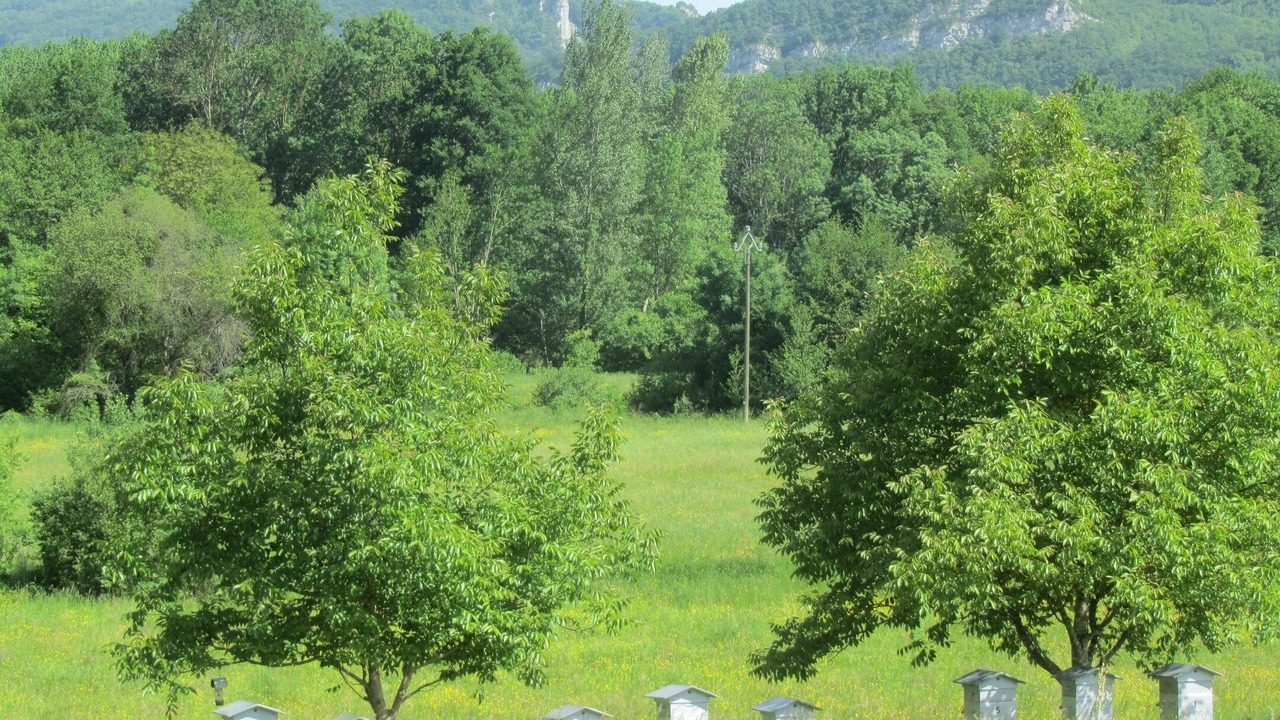 Photo of Others in Lavelanet