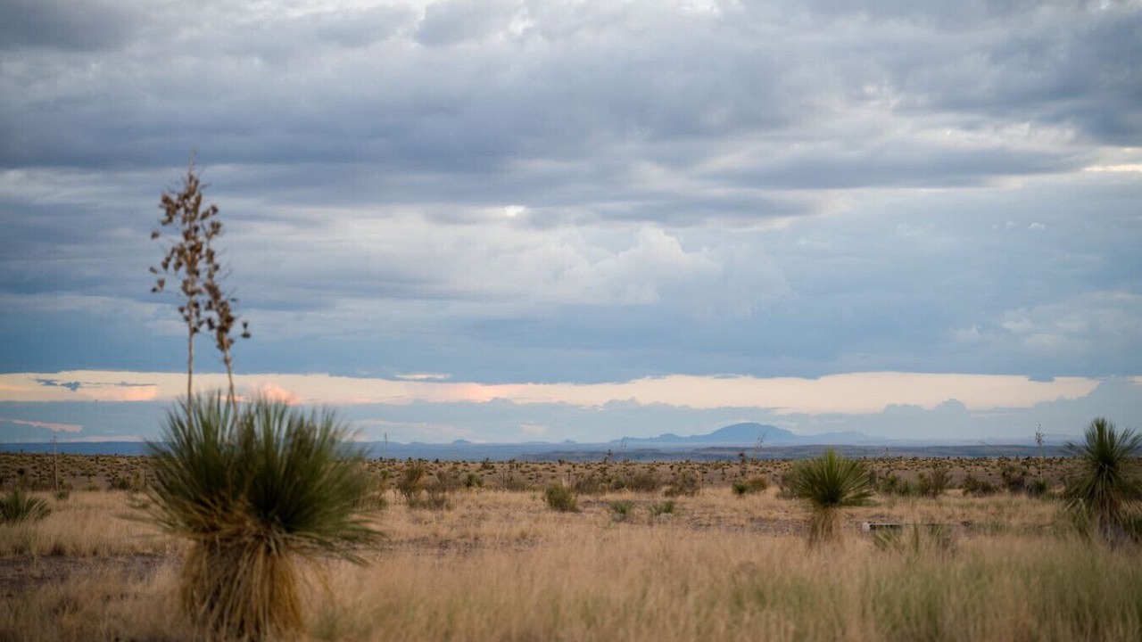 Photo of Others in Marfa