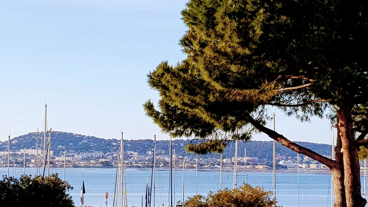 Photo of Others in Bouzigues