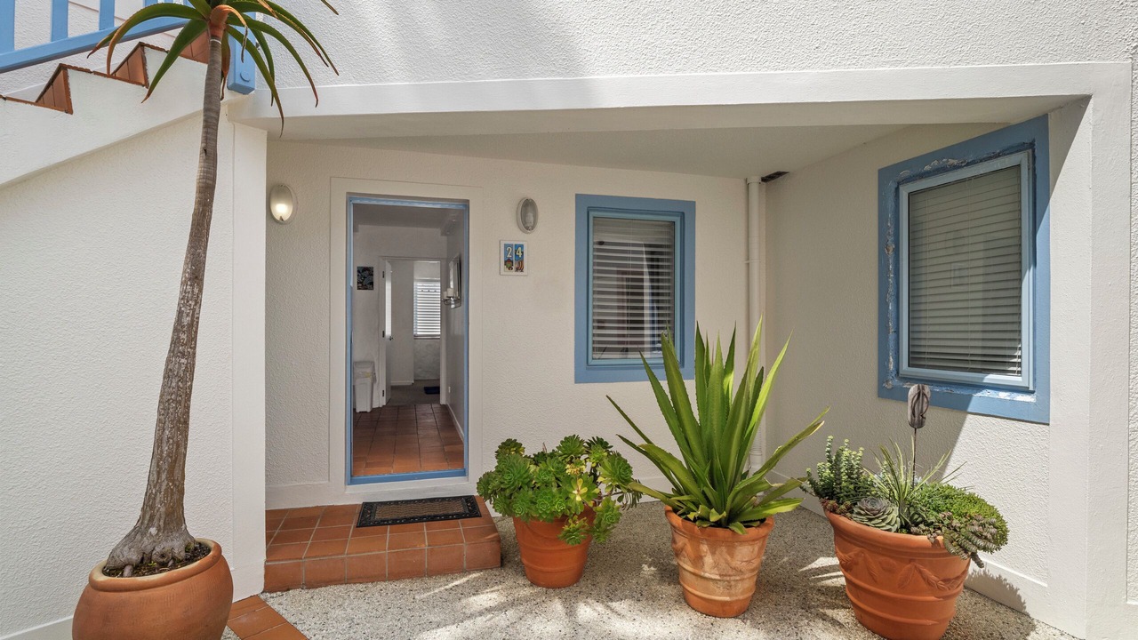 Photo of Outdoor in Orewa