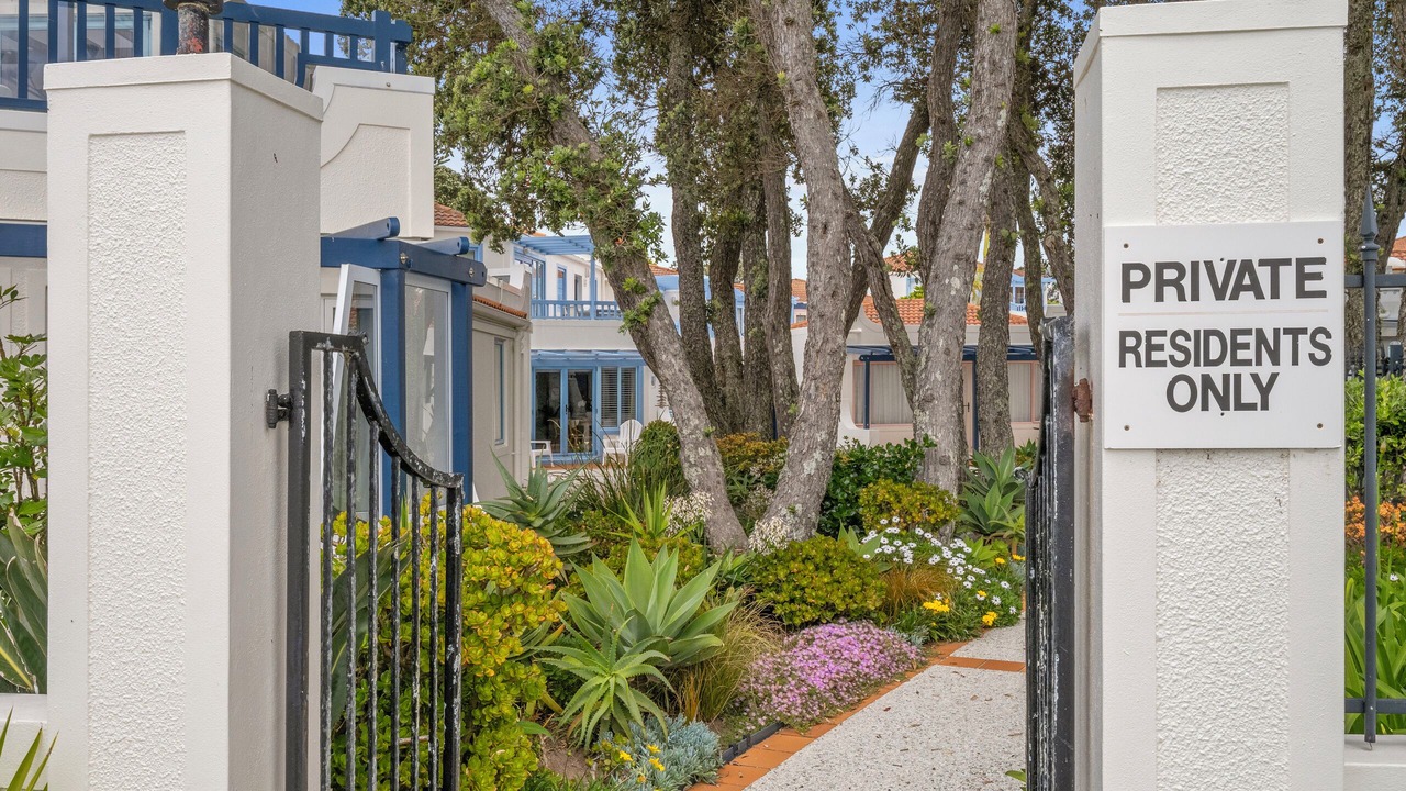 Photo of Outdoor in Orewa