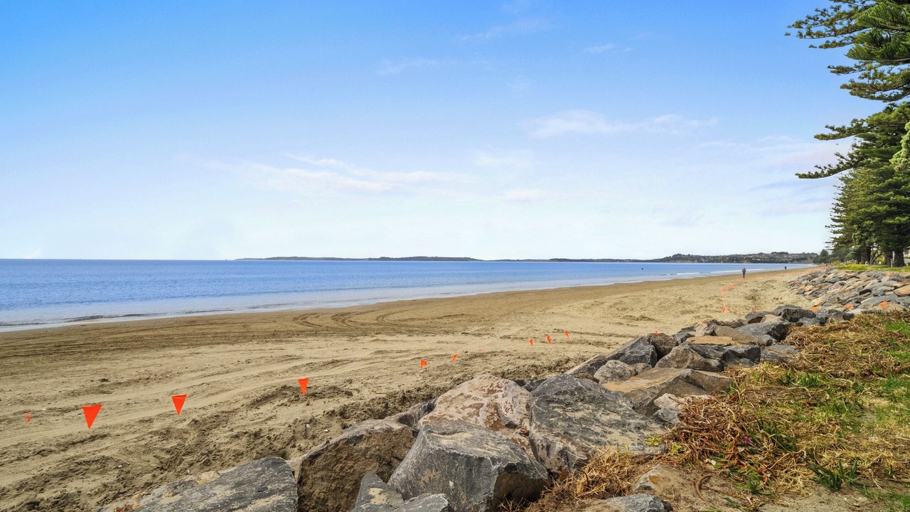 Photo of Others in Orewa