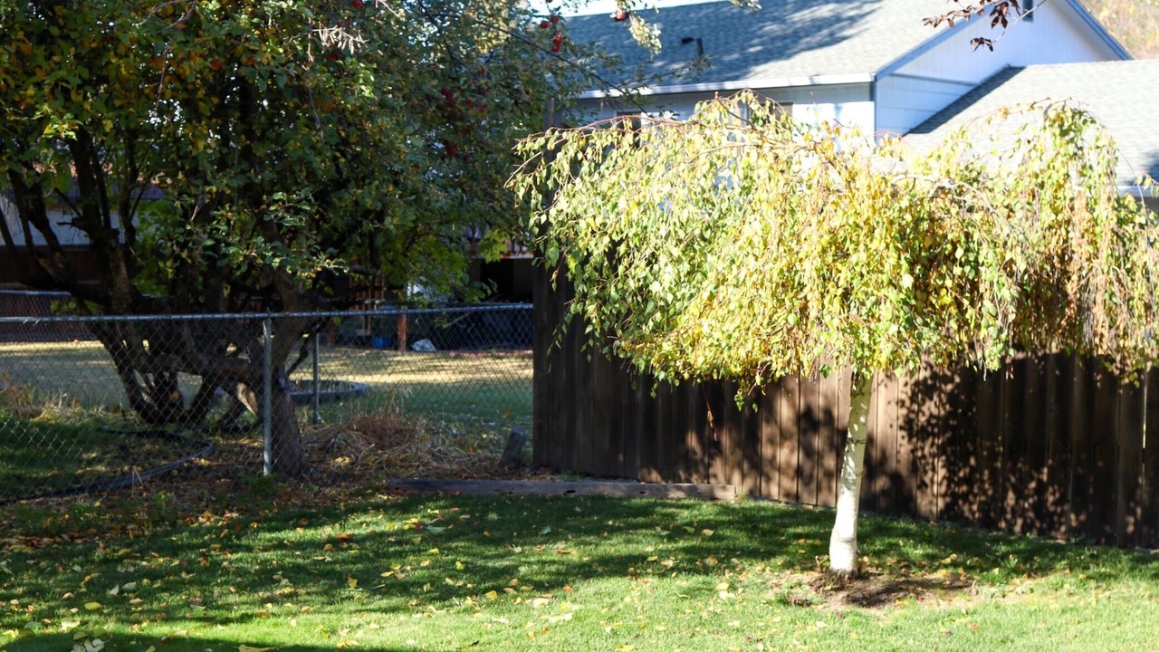 Photo of Outdoor in Colville