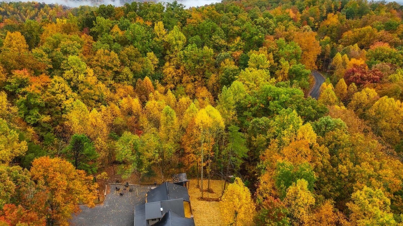 Photo of Outdoor in Pittman Center