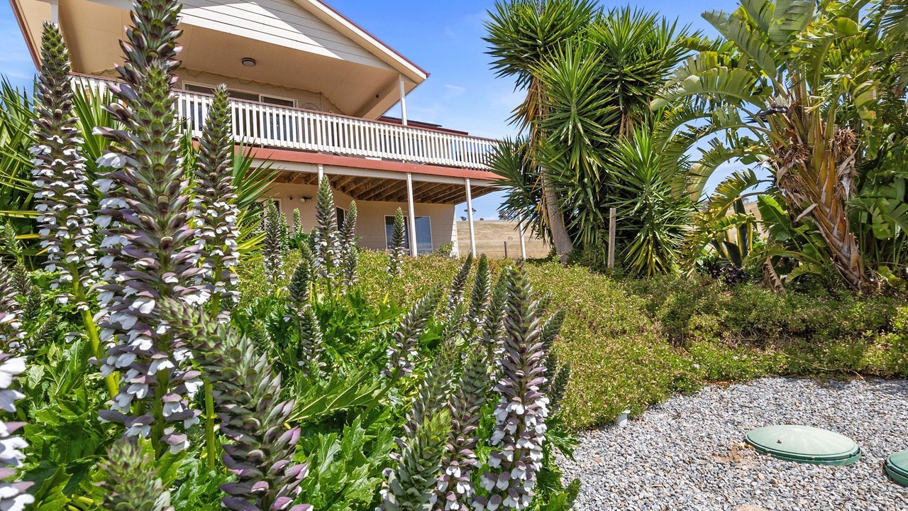 Photo of Outdoor in Second Valley