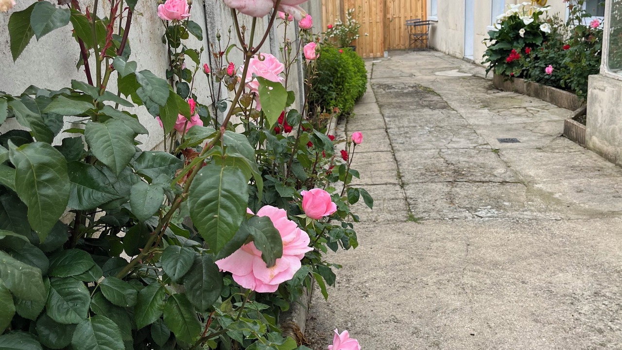 Photo of Outdoor in Sully-sur-Loire