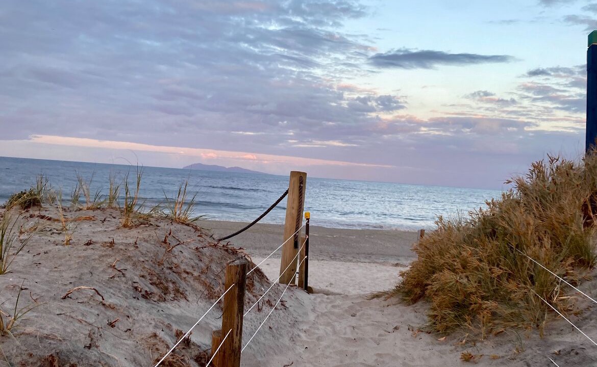 Photo of Others in Waihi Beach