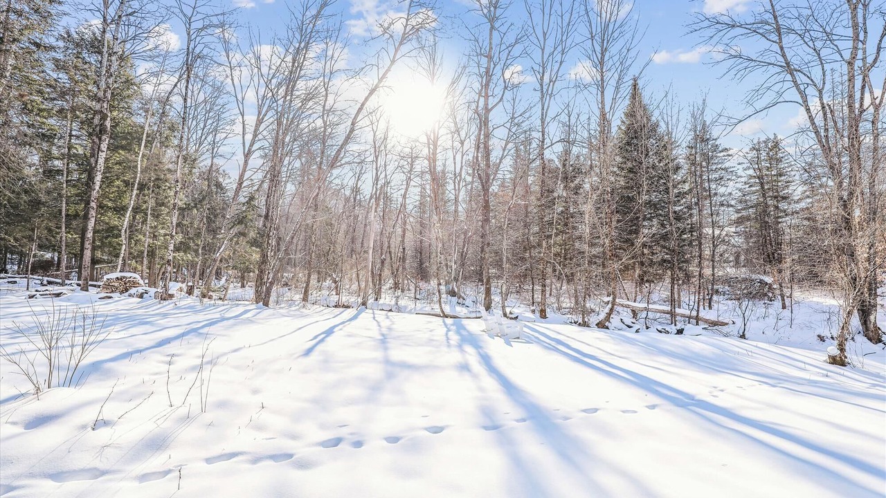Photo of Others in Stowe Hollow