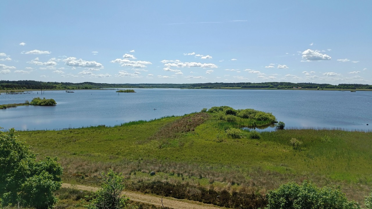 Photo of Others in Silkeborg