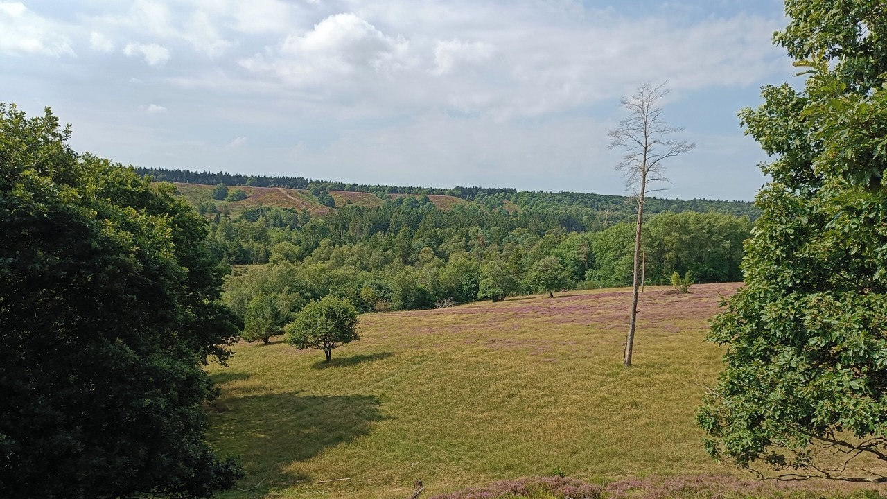 Photo of Others in Silkeborg