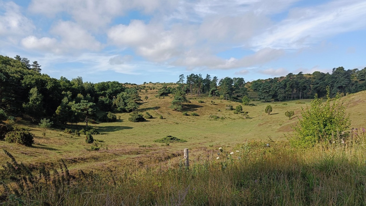 Photo of Others in Silkeborg