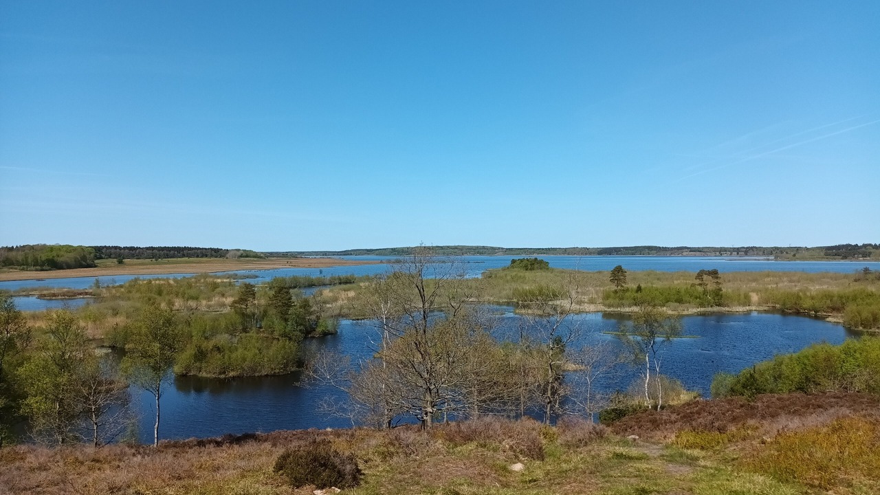Photo of Others in Silkeborg