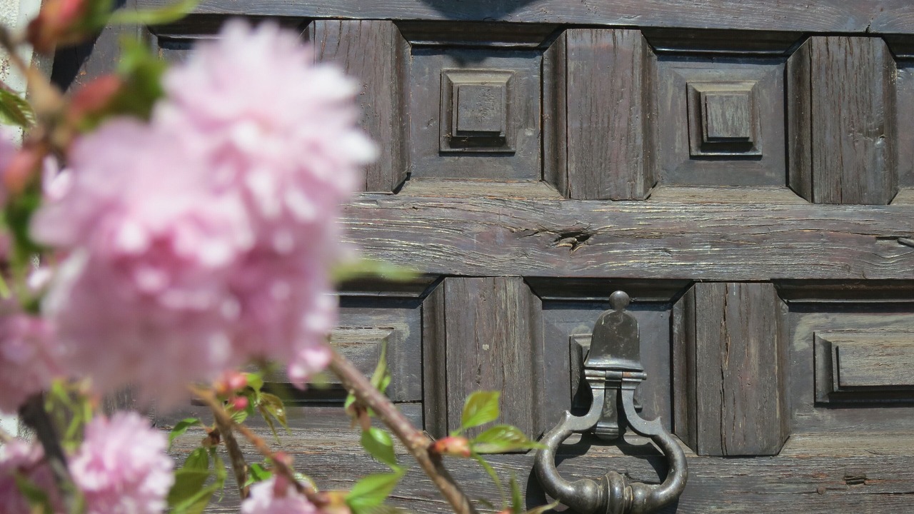 Photo of Outdoor in Brison-Saint-Innocent