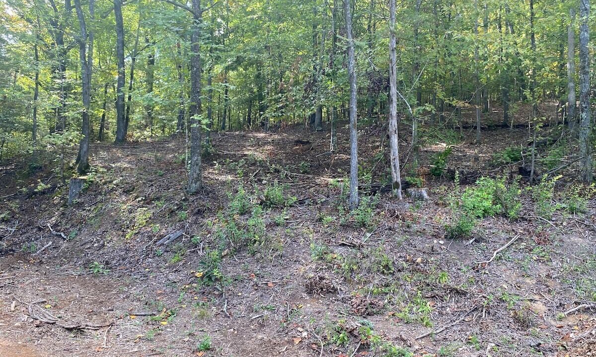 Photo of Others in Linden
