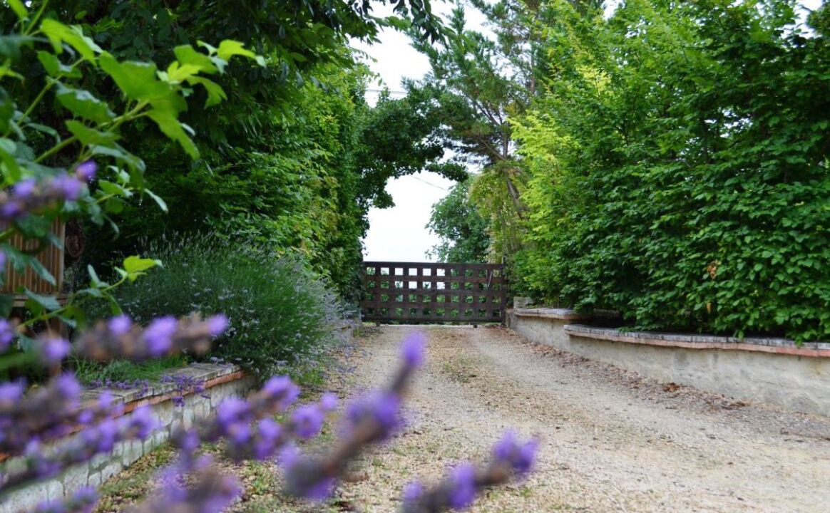 Photo of Outdoor in Cancon