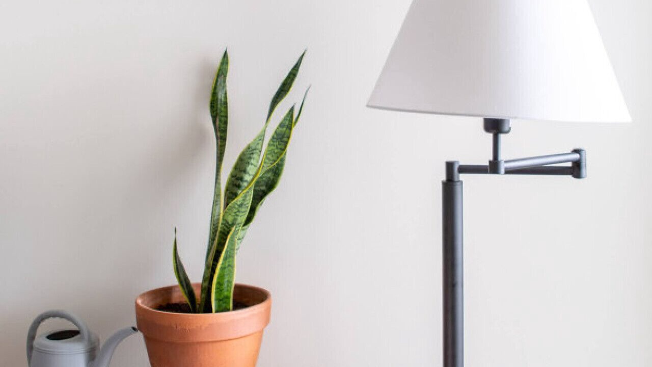 Photo of Others in Shorewood