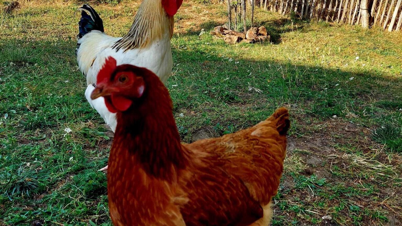 Photo of Others in Saint-Aubin-en-Charollais