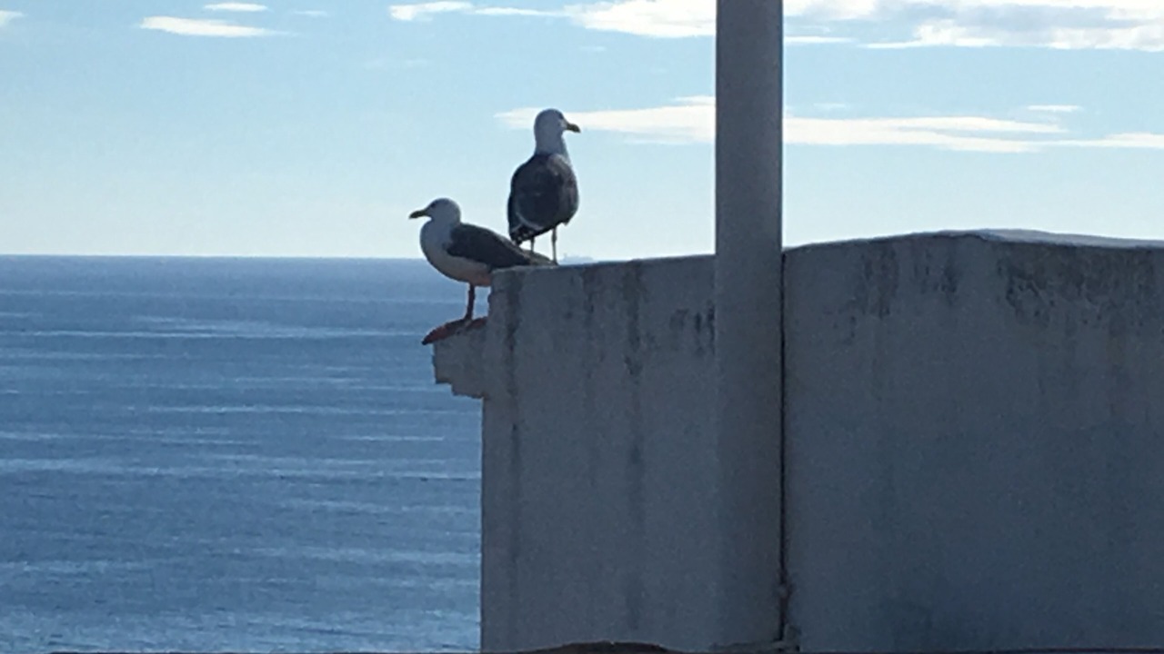 Photo of Others in Partidor