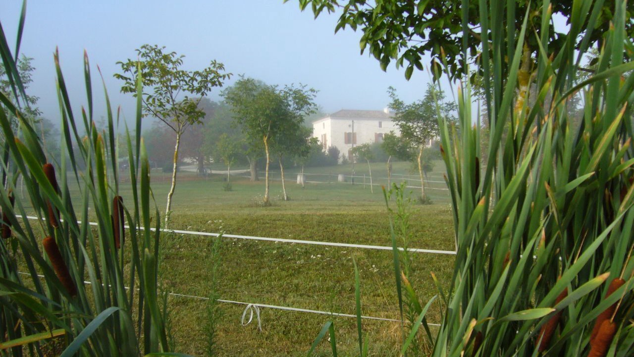 Photo of Outdoor in Penne-d'Agenais