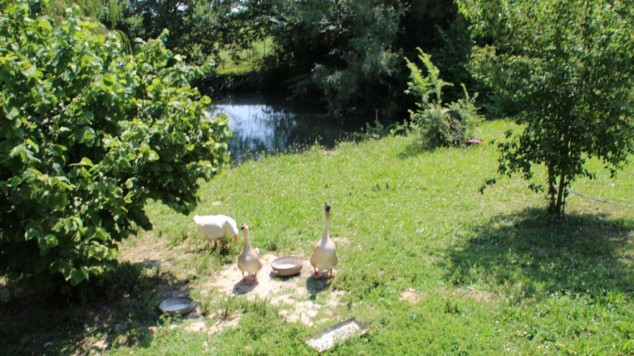 Photo of Outdoor in Penne-d'Agenais